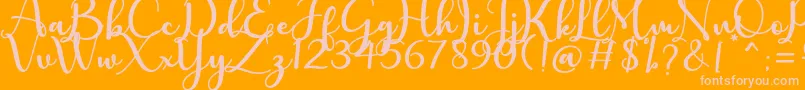charlotte Font – Pink Fonts on Orange Background