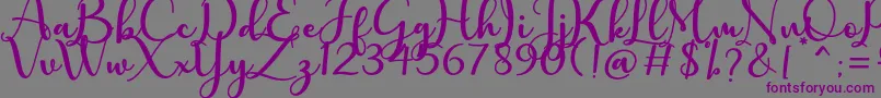 charlotte Font – Purple Fonts on Gray Background