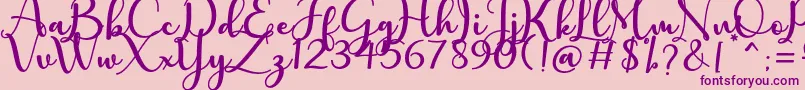 charlotte Font – Purple Fonts on Pink Background