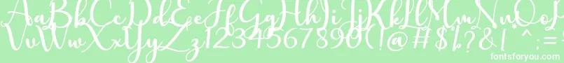 charlotte Font – White Fonts on Green Background