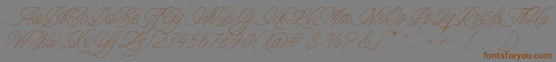 Подробнее о шрифте Charmline Script Personal Use Шрифт Charmline Script Personal Use – коричневые шрифты на сером фоне