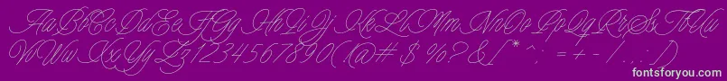 Charmline Script Personal Use-Schriftart – Grüne Schriften auf violettem Hintergrund