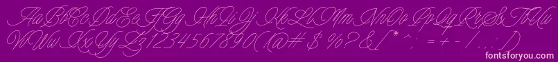 Charmline Script Personal Use Font – Pink Fonts on Purple Background