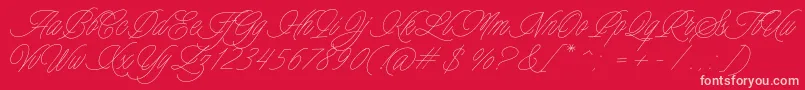 Charmline Script Personal Use Font – Pink Fonts on Red Background