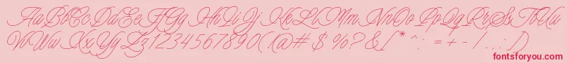 Charmline Script Personal Use Font – Red Fonts on Pink Background