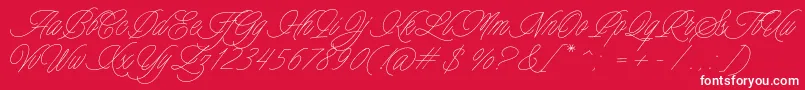 Charmline Script Personal Use-Schriftart – Weiße Schriften auf rotem Hintergrund