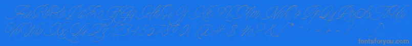Police Charmline Script Personal Use – polices grises sur fond bleu