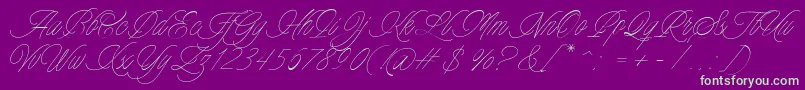 Weitere Informationen zur Charmline Script Personal Use-Schriftart Charmline Script Personal Use-Schriftart – Grüne Schriften auf violettem Hintergrund