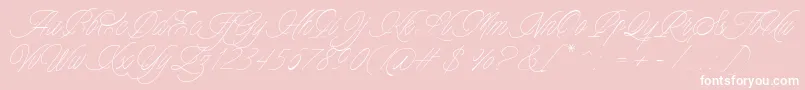 Fonte Charmline Script Personal Use – fontes brancas em um fundo rosa