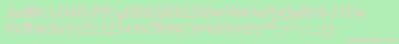 LegacySerifItcMediumItalic Font – Pink Fonts on Green Background