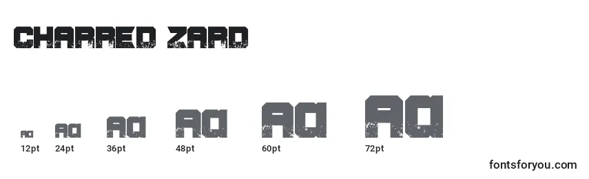 Размеры шрифта CHARRED ZARD