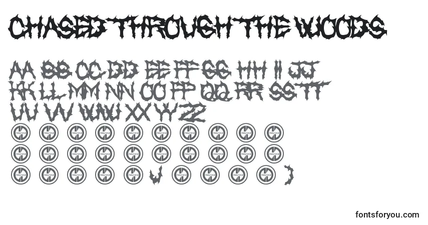 Schriftart Chased Through The Woods – Alphabet, Zahlen, spezielle Symbole