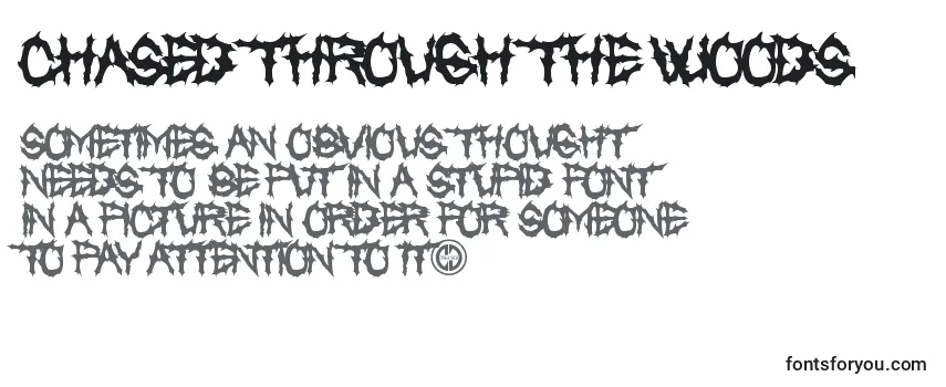 Schriftart Chased Through The Woods