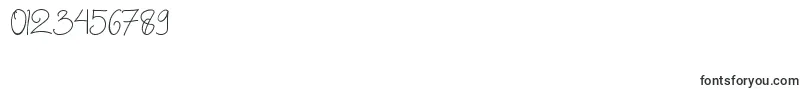 Chattagirie Bold Font – Fonts for Numbers and Digits
