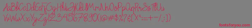 Chattagirie Bold Font – Red Fonts on Gray Background