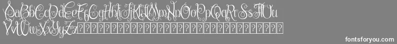 ChattelyneDemo Font – White Fonts on Gray Background
