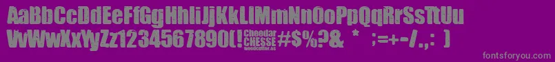 En savoir plus sur la police Cheedar Cheese Police Cheedar Cheese – polices grises sur fond violet