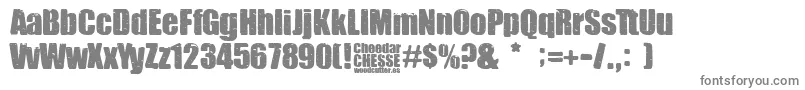 Cheedar Cheese-Schriftart – Graue Schriften auf weißem Hintergrund