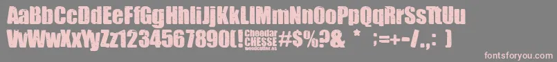 Czcionka Cheedar Cheese – różowe czcionki na szarym tle