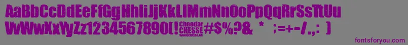 Cheedar Cheese Font – Purple Fonts on Gray Background