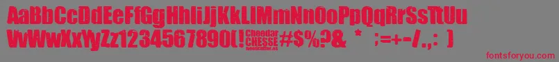 Police Cheedar Cheese – polices rouges sur fond gris