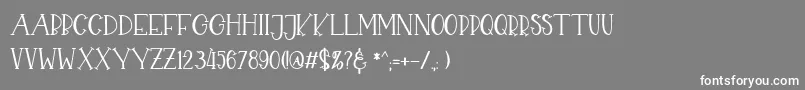 CHEKIDOT Font – White Fonts on Gray Background