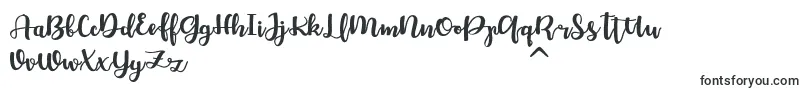 Chellion Font – Handwritten Fonts