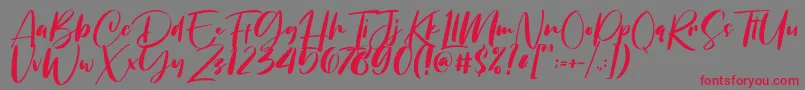 Chellyne Font – Red Fonts on Gray Background