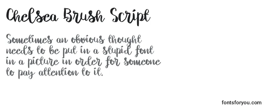 Обзор шрифта Chelsea Brush Script