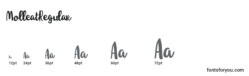 MolleatRegular Font Sizes