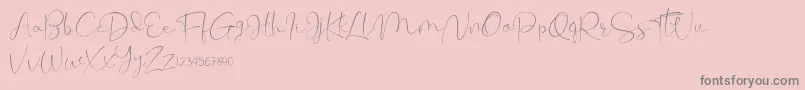 Cherissa Font – Gray Fonts on Pink Background