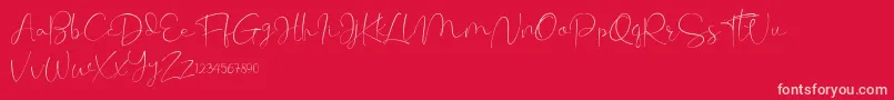 Cherissa Font – Pink Fonts on Red Background