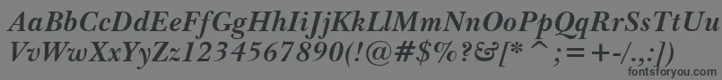 フォントImperialBoldItalic – 黒い文字の灰色の背景