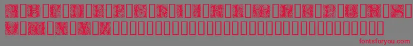 Cheshire Initials Font – Red Fonts on Gray Background