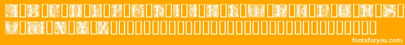 Шрифт Cheshire Initials – белые шрифты на оранжевом фоне