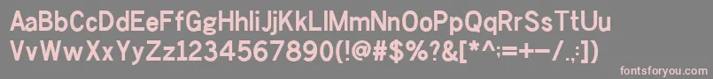 フォントChesterSans Bold – 灰色の背景にピンクのフォント