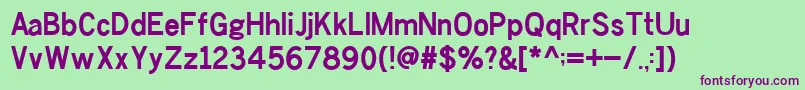 ChesterSans Bold Font – Purple Fonts on Green Background