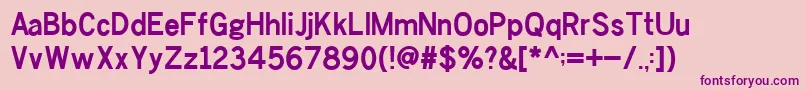 ChesterSans Bold Font – Purple Fonts on Pink Background