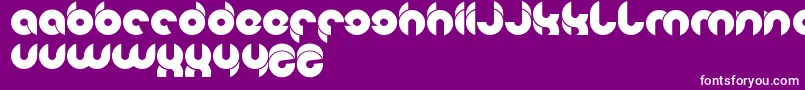 chewedkandi-Schriftart – Weiße Schriften auf violettem Hintergrund