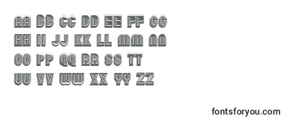 Review of the ChicagoNeon3D Font