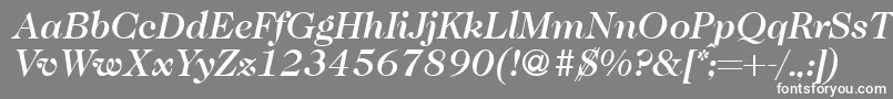Lisätietoja Caslon335mediumRegularitalic-fontista Caslon335mediumRegularitalic-fontti – valkoiset fontit harmaalla taustalla