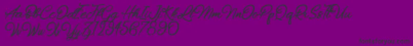 Chiennes Stimulantes Font – Black Fonts on Purple Background