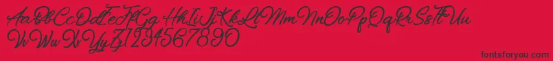 Chiennes Stimulantes-Schriftart – Schwarze Schriften auf rotem Hintergrund