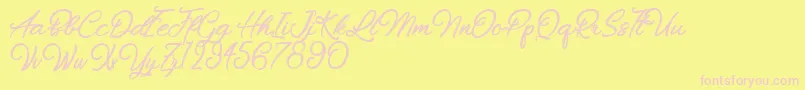 Chiennes Stimulantes Font – Pink Fonts on Yellow Background