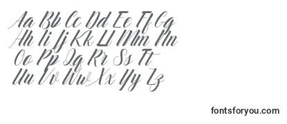 Review of the Chietah Font