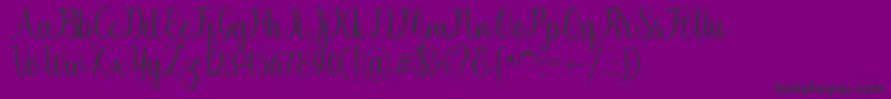 Chinchilla Font – Black Fonts on Purple Background