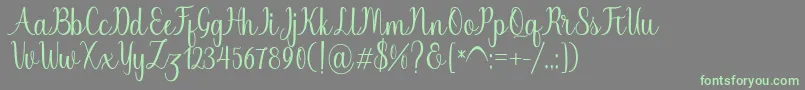 Chinchilla Font – Green Fonts on Gray Background