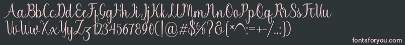 Chinchilla Font – Pink Fonts on Black Background