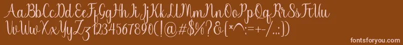 Chinchilla Font – Pink Fonts on Brown Background