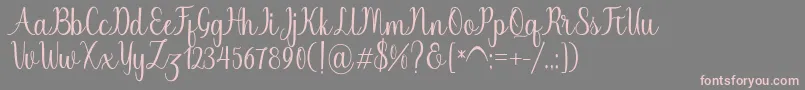 Chinchilla Font – Pink Fonts on Gray Background